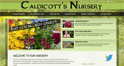 Desktop Screenshot of caldicottsnursery.com
