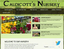 Tablet Screenshot of caldicottsnursery.com